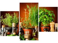 product-compare-58699494