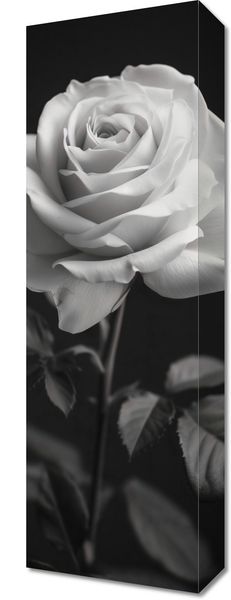 Obraz 20x60cm Płatki Róż zdjęcie 1