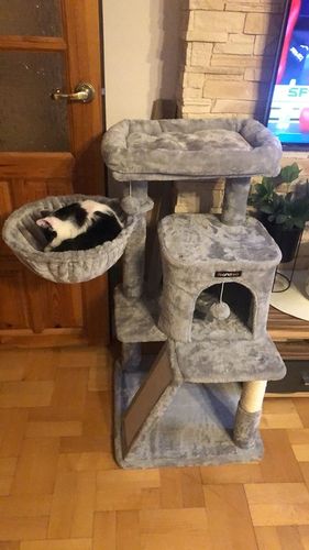 DRAPAK DLA KOTA DUŻY LEGOWISKO DOMEK ZABAWKA WIEŻA SŁUPEK 3 POZIOMY 96cm na Arena.pl