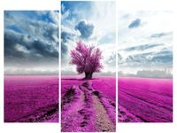 OBRAZ FIELD&TREE POLE DRZEWO KOLORY