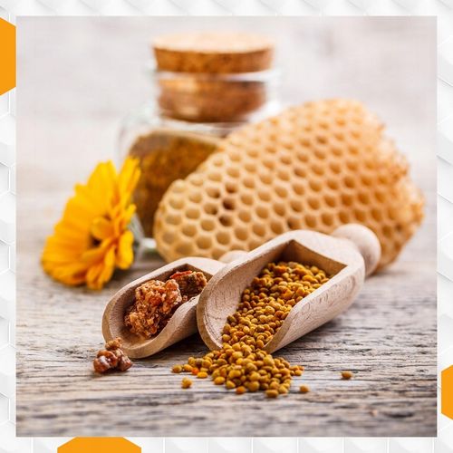 Nozevit PLUS mieszanka paszowa dla pszczół do ula pasieki Apivita 200 ml na Arena.pl