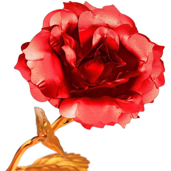 CZERWONA RÓŻA zdjęcie 4