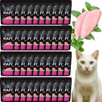 rafi karma mokra pasztet dla kota z indykiem 100g x 40 szt.