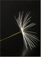 product-compare-58656590