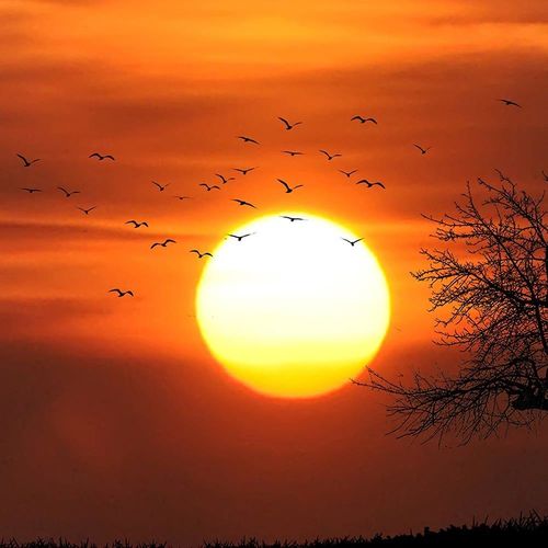 Deco Panel, Okno - zachód słońca 2 60x40 na Arena.pl