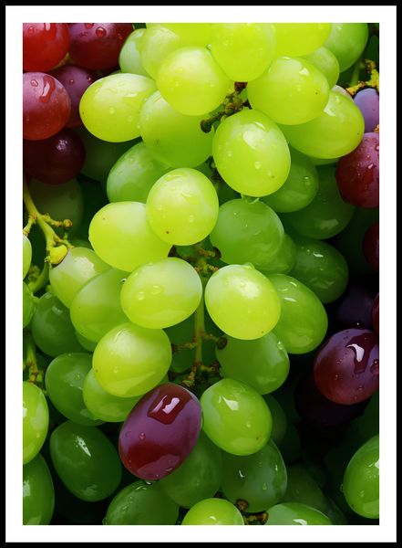 Plakat 64x90cm Winogronowy Kalejdoskop zdjęcie 3