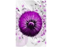 80CM 120 OBRAZ FIOLETOWE DMUCHAWCE 5 ŚCIENNY