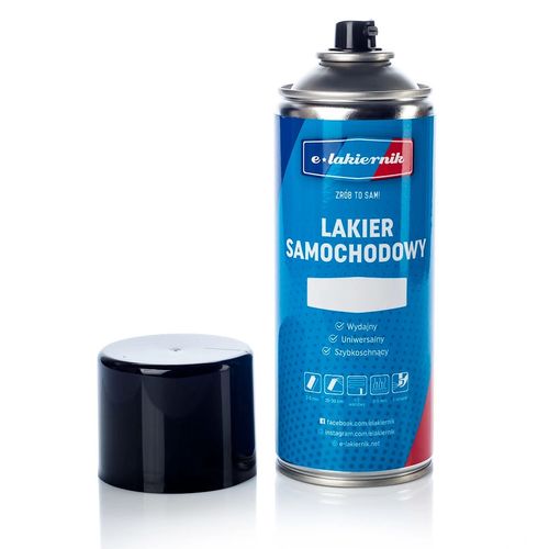 lakier samochodowy w sprayu oryginalny ford moondust silver na Arena.pl