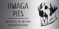 Tabliczka 20x10 UWAGA PIES Anatolian / Anatoliski pies pasterski Z GRAWEREM