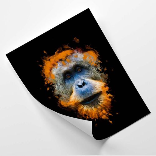 Plakat, Orangutan 40x60 na Arena.pl