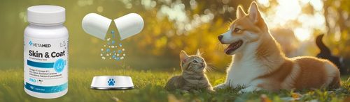 SUPLEMENT na SKÓRĘ I SIERŚĆ dla PSA I KOTA VETAMED 30 kapsułek + GRATIS na Arena.pl