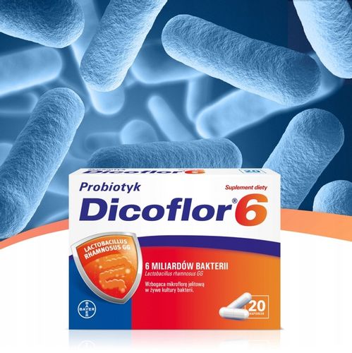 DICOFLOR 6 mld bakterii PROBIOTYK 2x20 kapsułek na Arena.pl