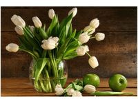 product-compare-58693312