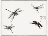 Plakat 80x60cm Ważki ilustracja Morimoto Toko Japoński Vintage do Salonu