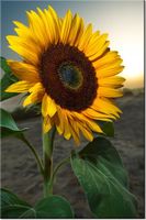 product-compare-58702612