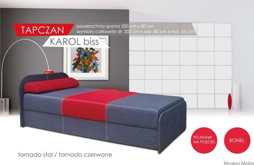 Tapczan Karol 1  80x200 na Arena.pl