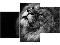 60 90CM OBRAZ 3 ELEM SREBRNY LEW ŚCIENNY DRUK PŁÓTNO