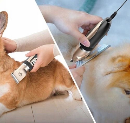 MASZYNKA DO STRZYŻENIA PSÓW PSA GOLARKA ZESTAW 11e na Arena.pl