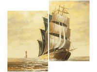 80X70CM 803 DUO OBRAZ