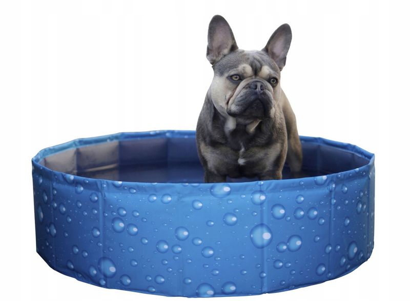 Basen dla psa Bubble, 80 x 80 x 20 cm Kerbl zdjęcie 2
