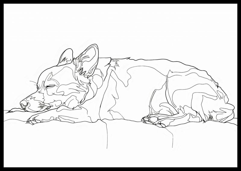 Plakat 66,5x46,5cm Śpiący Psiak zdjęcie 2