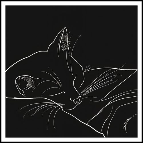 Plakat 100x100cm Nocny Spokój na Arena.pl