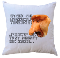 Poduszka dla Janusza