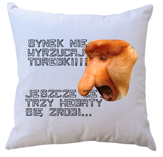 Poduszka dla Janusza zdjęcie 1