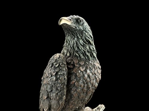 RZEŹBA ORZEŁ - VERONESE WU76779A4 na Arena.pl