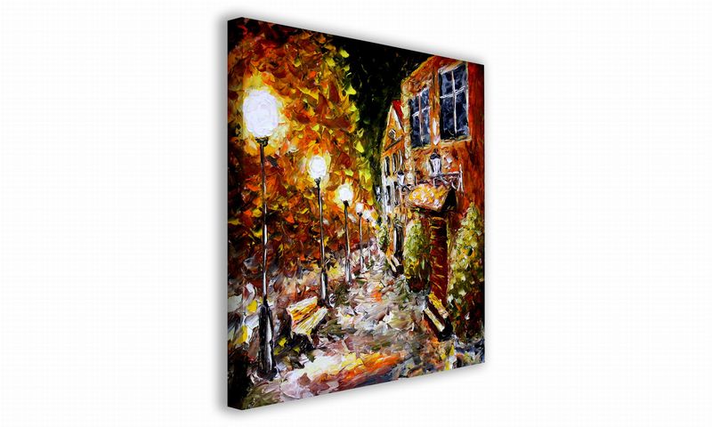 OBRAZ NA PŁÓTNIE 002 Alejka 60x60cm zdjęcie 1