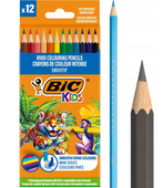 KREDKI 12KOL DREWNO ECO SMOOTH BIC