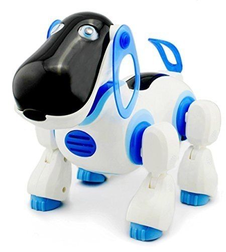 KOSMICZNY PIES KNABO + PILOT na Arena.pl