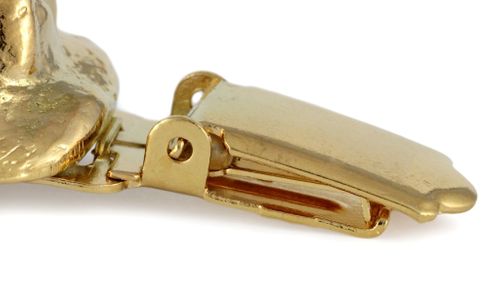 Chihuahua - klips - 1042 na Arena.pl