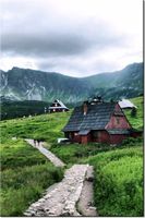 product-compare-58681961