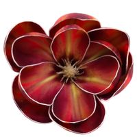 product-compare-61190983