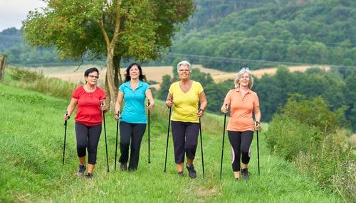Kijki NORDIC WALKING trekkingowe 2szt ZESTAW REGULOWANE POKROWIEC KOŃCÓWKI na Arena.pl