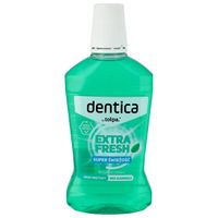 TOŁPA Dentica Extra Fresh Płyn do płukania jamy ustnej miętowy 500 ml