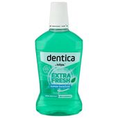 TOŁPA Dentica Extra Fresh Płyn do płukania jamy ustnej miętowy 500 ml