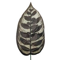 product-compare-61190934