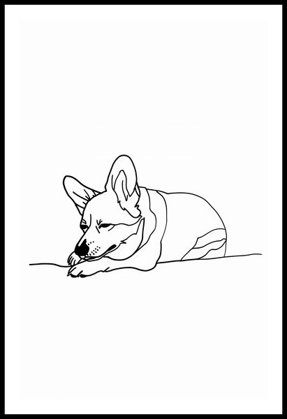 Plakat 53x81cm Śpiący Corgacz zdjęcie 3