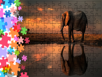 Puzzle tradycyjne Zwierzęta - Słoń