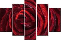 100CM 150CM OBRAZ 5 ELEM BORDOWA RÓŻA ŚCIENNY
