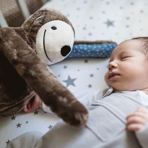 Whisbear - Whissloth Leniwiec E-zzy CRYalert CRYsensor 95734 na Arena.pl