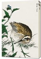 Obraz 60x90cm Greenshank, Kashu Japoński Vintage do Salonu