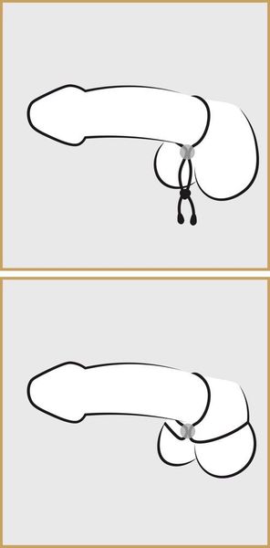 Bk Cock & Ball Loop zdjęcie 6