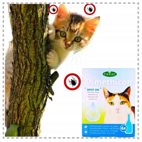PREPARAT PRZECIW PCHŁOM I KLESZCZOM DLA KOTÓW NA KROPLE PCHŁY I KLESZCZE na Arena.pl