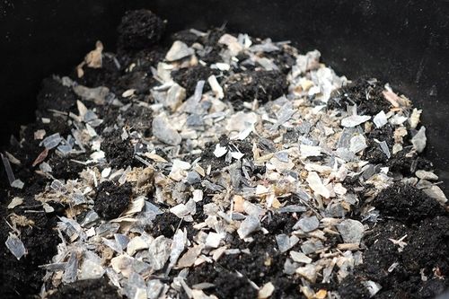 Wióry Rogowe Nawóz Z Rogów I Kopyt 5kg Bydlęcych Mączka Wióry Rogi Kopyta na Arena.pl