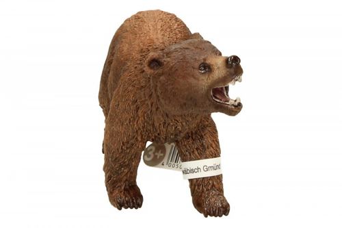 Niedzwiedź Grizzly na Arena.pl