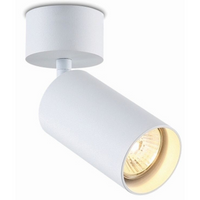 Sufitowa lampa Stala 401001002 Elkim metalowy reflektorek biała