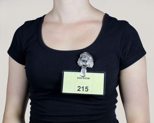 Cavalier King Charles Spaniel - klips - 287 na Arena.pl